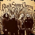 Bardzo rockowe Black Stone Cherry